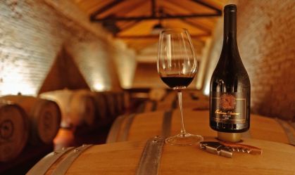 Destaque em premiação internacional, vinhos mineiros estão em alta; conheça