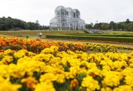 Curitiba e Cerrado são apostas de viagem para 2025 de publicações estrangeiras