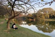 Ibirapuera é um dos 10 parques com mais destaque no Google Maps em 2023