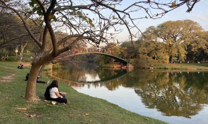 Parque do Ibirapuera receberá festival durante a Copa do Mundo do Catar