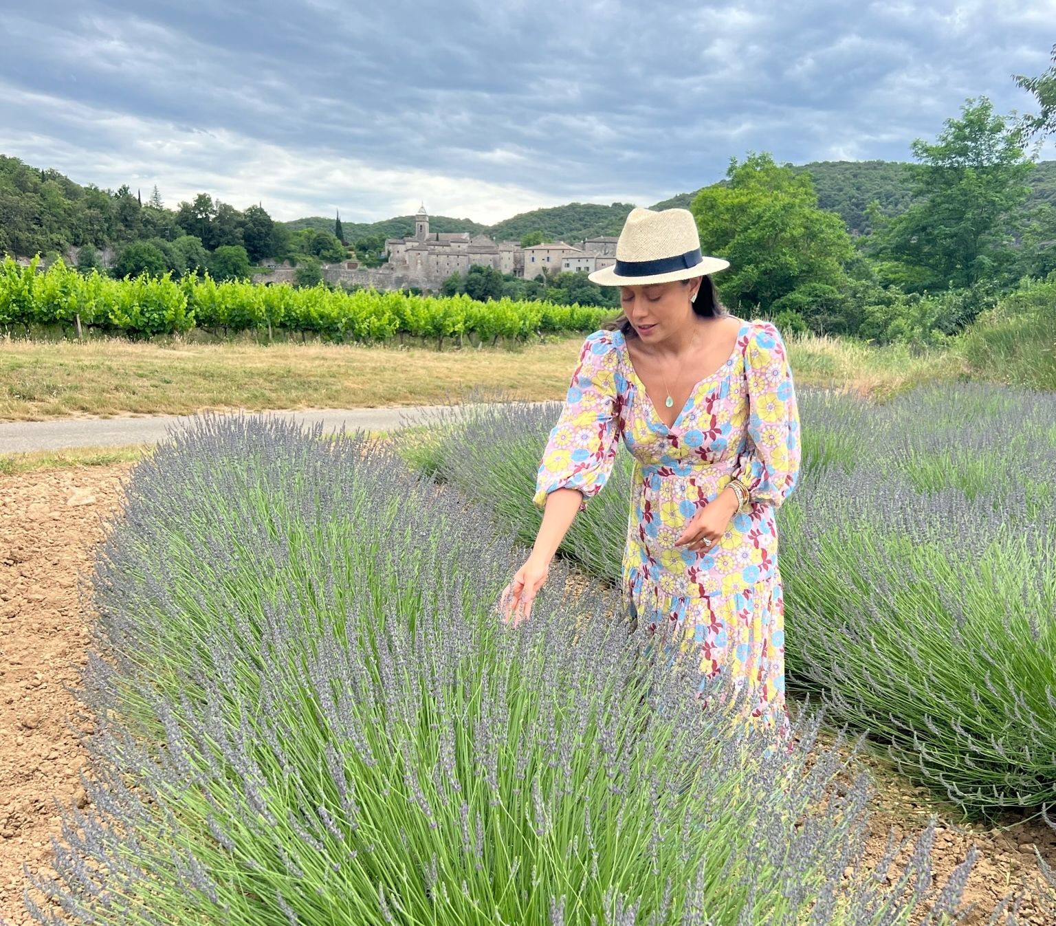 campos lavanda provence