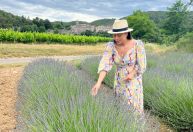 França: 5 cidades imperdíveis na região da Provence