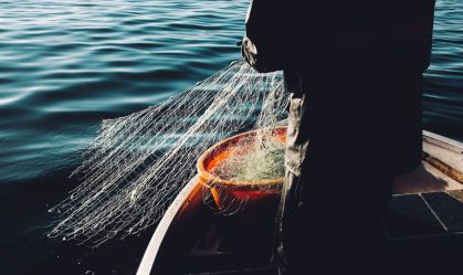 De onde vem o peixe que você come