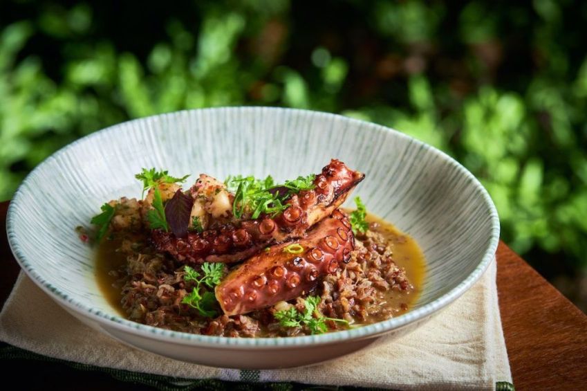 / Melhores restaurantes de São Paulo: Selvagem - Imagem: Rodolfo Regini