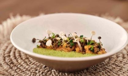 Chefs das Maldivas se posicionam na busca por sustentabilidade na cozinha