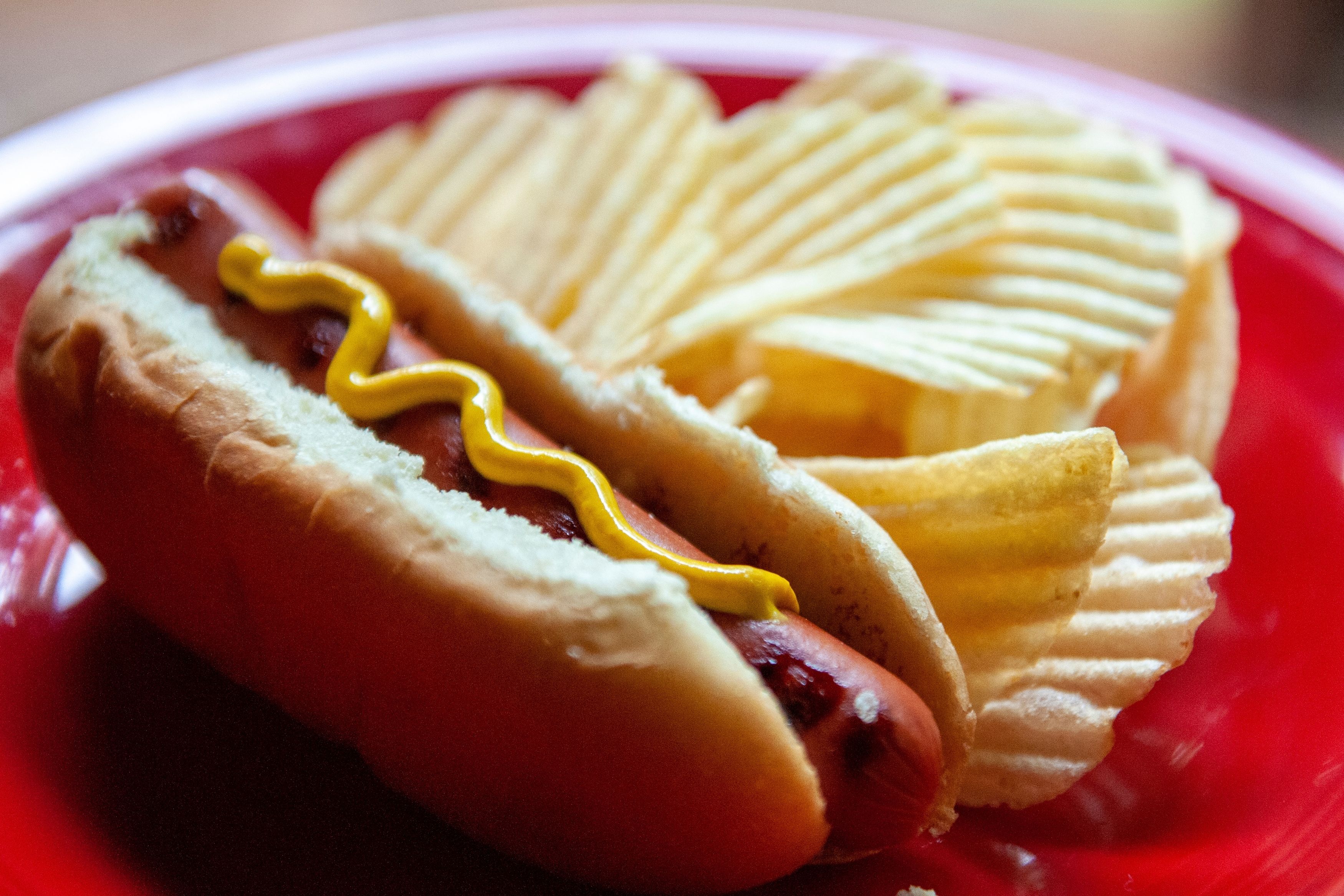 Hot Dogs cachorro quente
