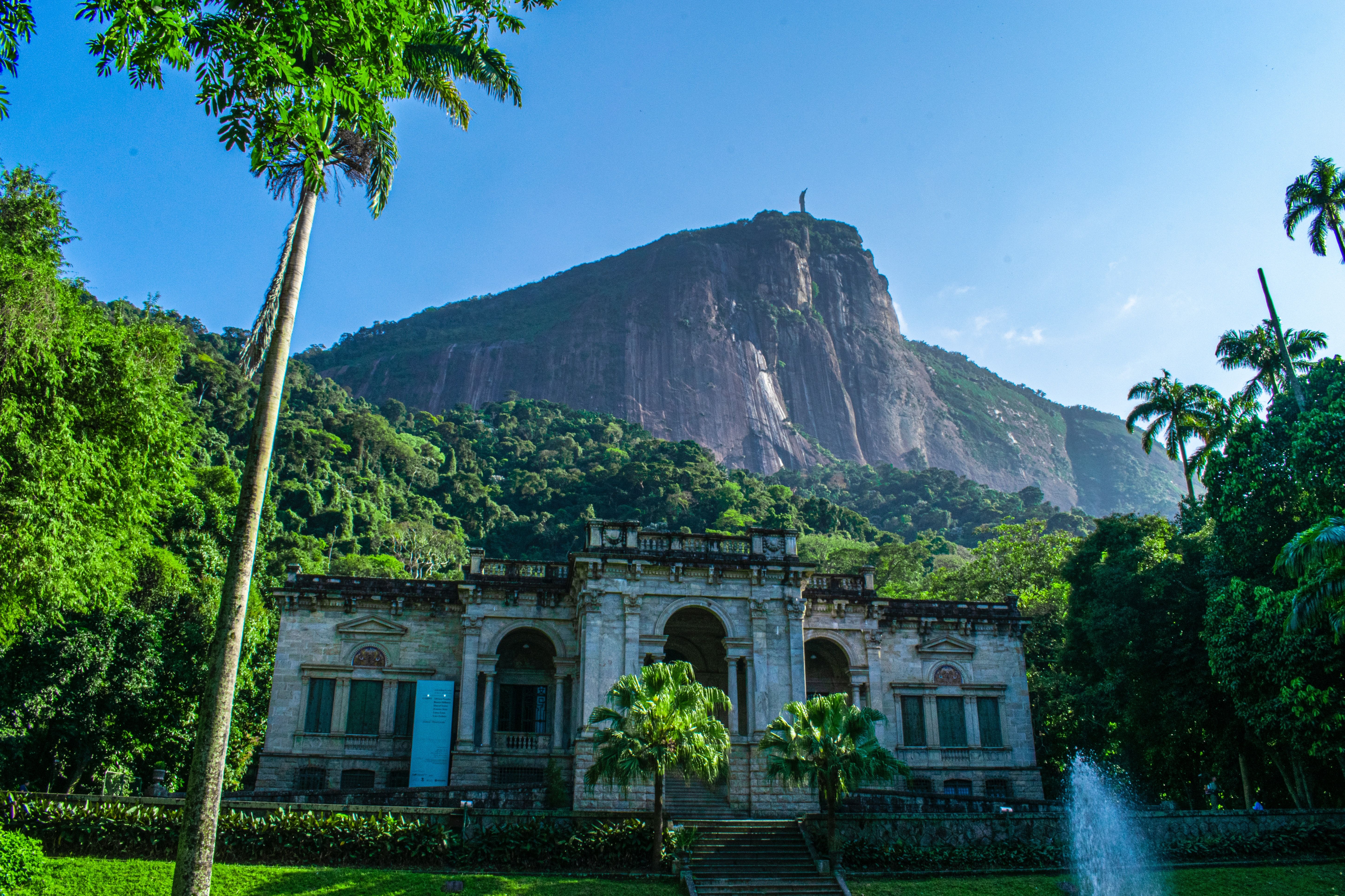 Programação no RJ vai além de sol e praia, com parques que reúne diferentes passeios para explorar a flora • Unsplash