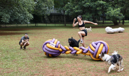 Parque do Ibirapuera, em SP,  ganha maior "cachorródromo" da América Latina