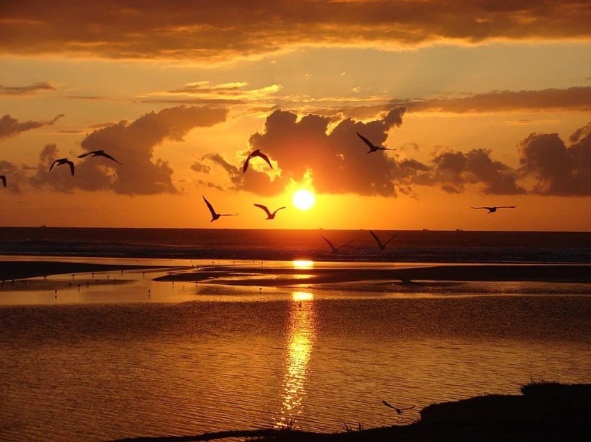 Barra de Ibiraquera é formada por dunas, lagoa e praia de areia branquinha em Santa Catarina / Wikimedia Commons