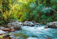 Ecoturismo: entenda o que é, impactos e onde praticar no Brasil