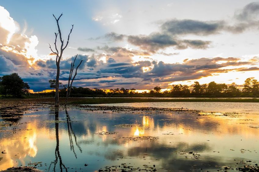 Pantanal também está na lista da Unesco / Wikimedia Commons