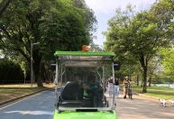 Tour guiado conta curiosidades do Parque do Ibirapuera, que faz 70 anos em 2024