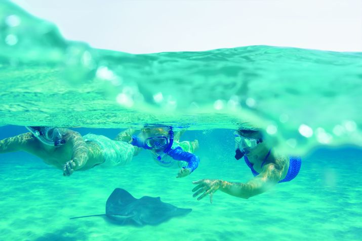 Snorkeling com as arraias é uma das atividades mais famosas das Ilhas Cayman / Divulgação/The Ritz-Carlton, Grand Cayman