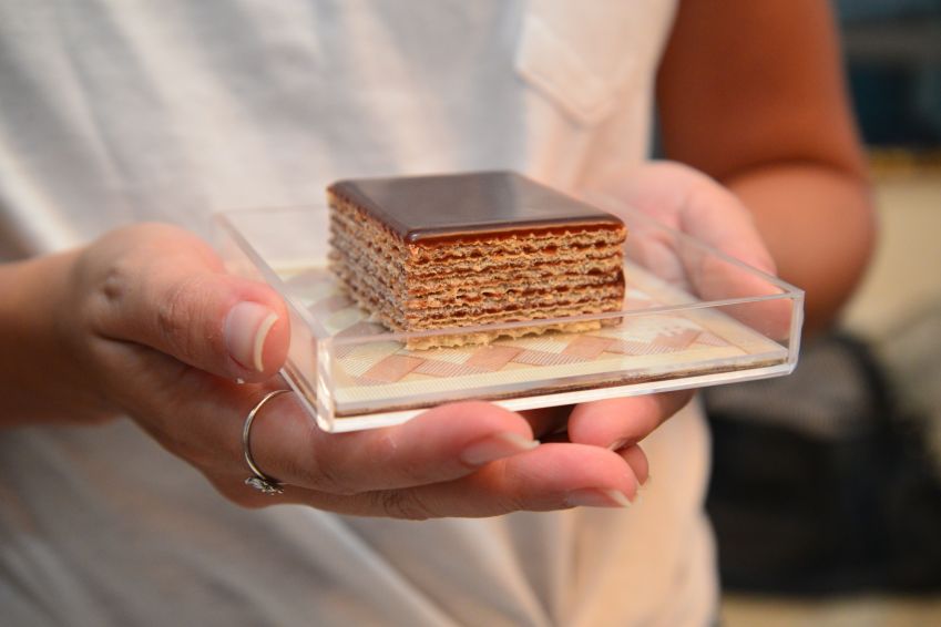 Suricake / Carol Gomes