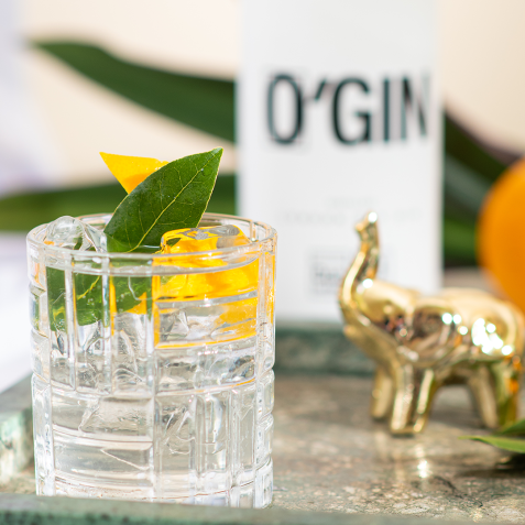 O'Gin já foi premiado em todos os continentes/ Divulgação