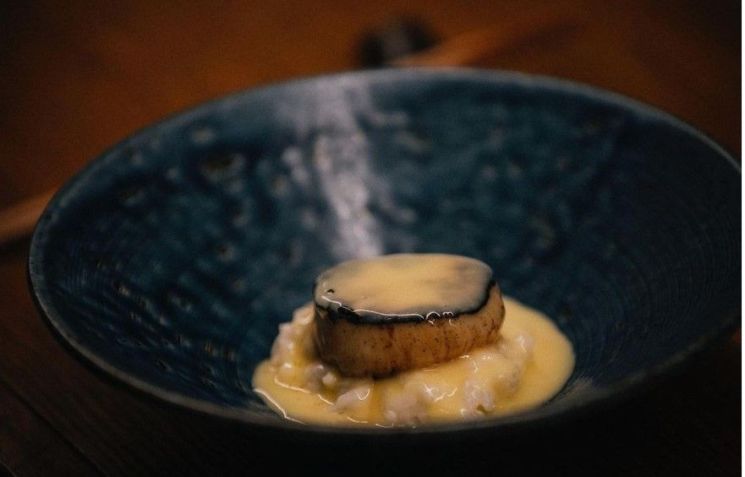 Vieira Hokkaido do Koya Tampa / Koya Tampa/Instagram