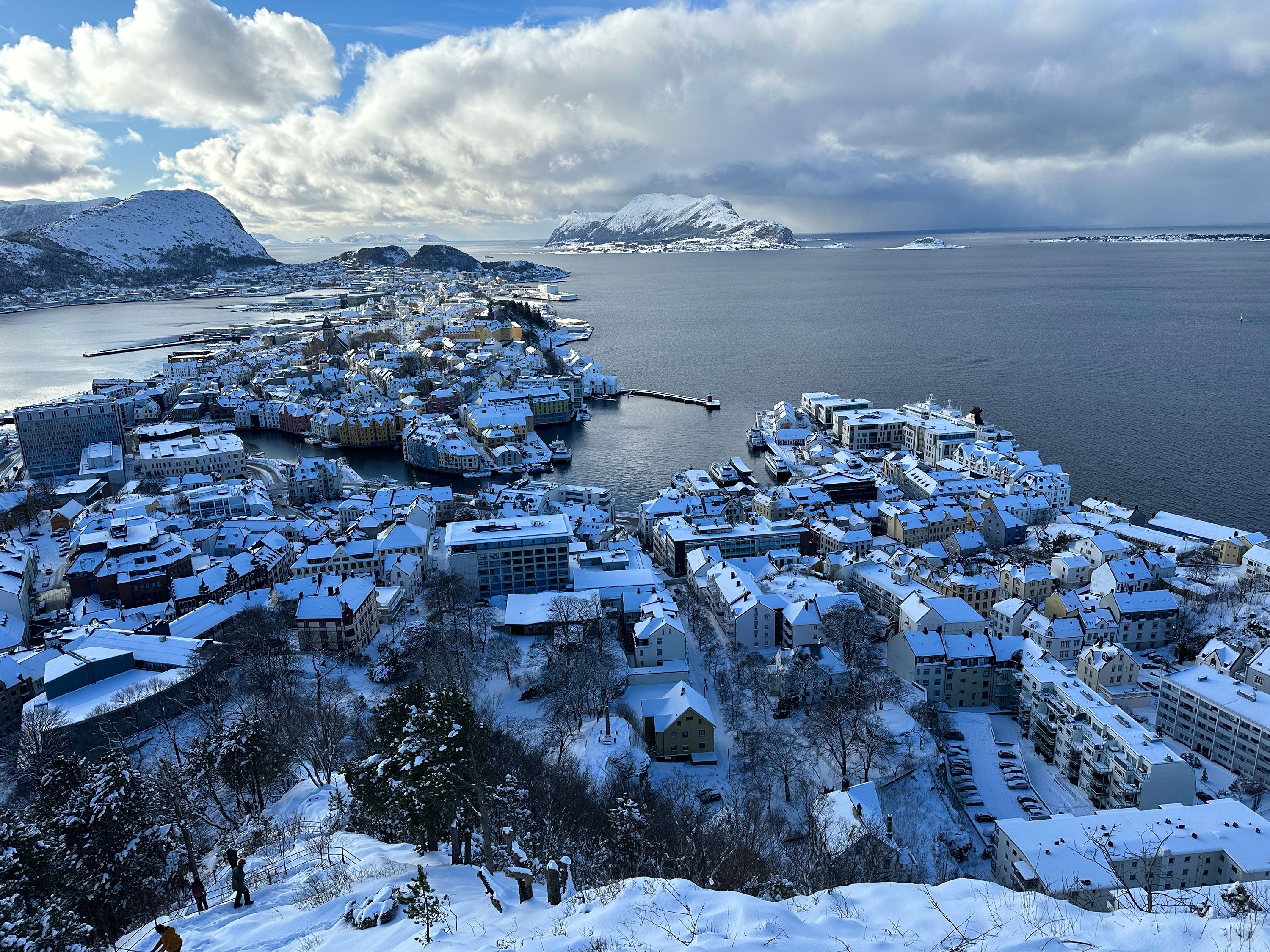 abre-rota-bacalhau-da-noruega