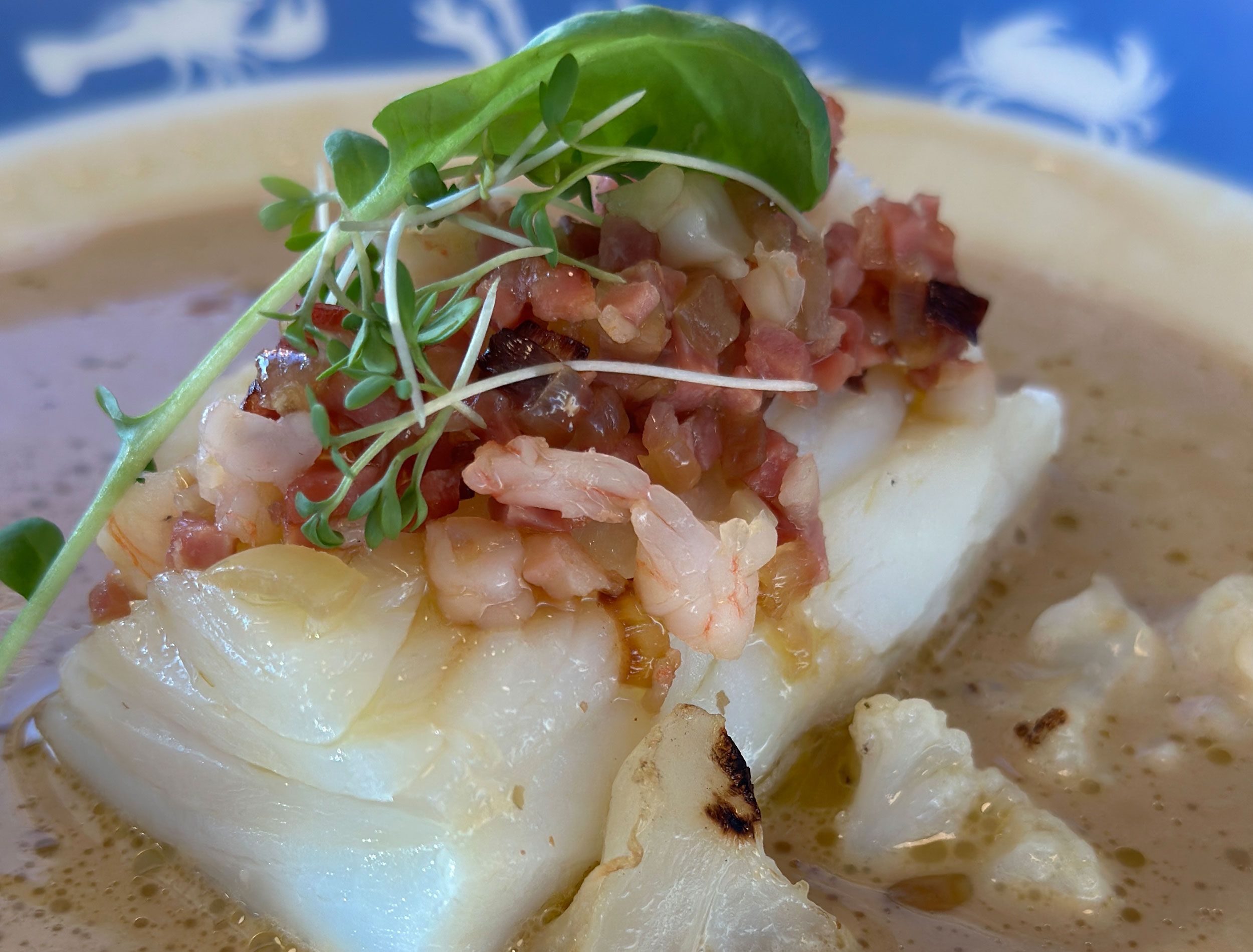 Bacalhau Gadus Morhua fresco, ou seja, quando não passa pelo processo de salga e secagem é muito consumido na Noruega / Tina Bini