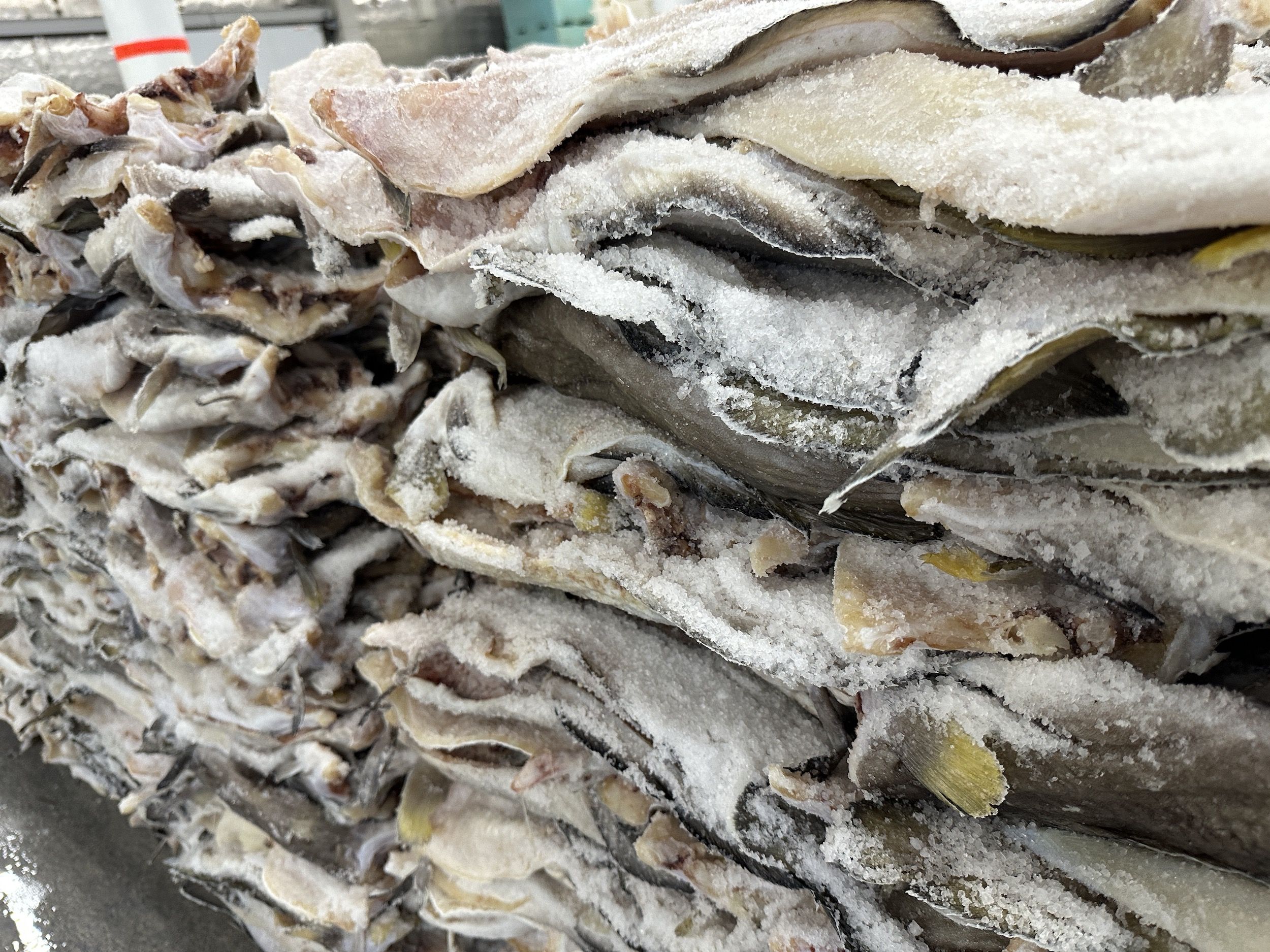 Brasil é o segundo maior importador de bacalhau da Noruega, atrás apenas de Portugal / Tina Bini