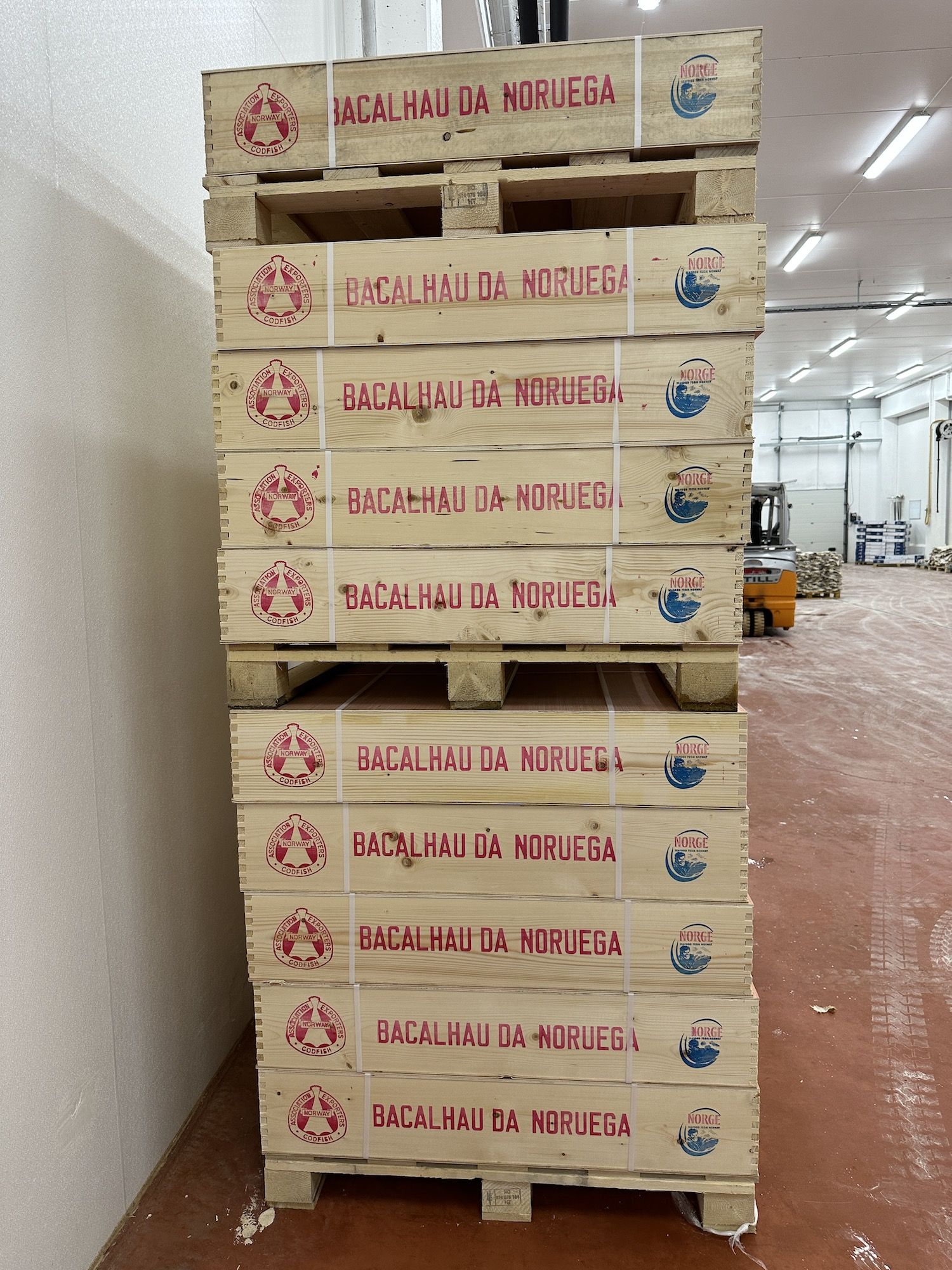 O Brasil é um dos únicos países que exige receber o Godus Morhua da Noruega em caixas de madeira. Os outros tipos de bacalhau podem ser exportados em caixas de papelão / Tina Bini