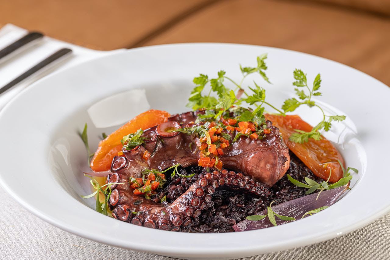 Polvo grelhado com risotto de arroz negro / Divulgação