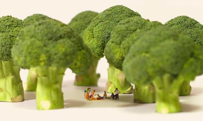 Exposição em miniaturas em SP mostra a diversidade das paisagens e da cultura japonesa