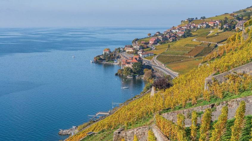 Terraços de vinhedos ladeiam Lago de Genebra em Lavaux / Pixabay