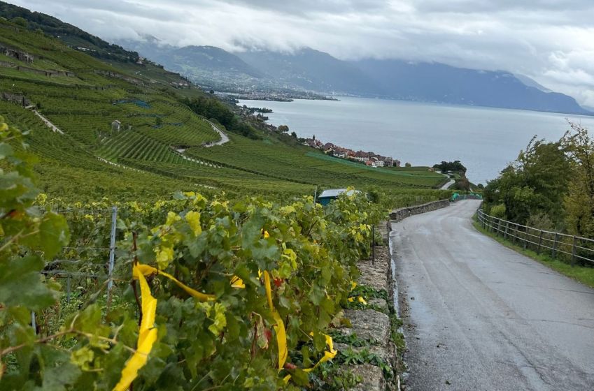 Caminhadas e passeios de bike entre vinhedos e vinícolas são atividades recomendadas em Lavaux / CNN Viagem & Gastronomia