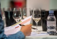 Vinhos brasileiros são premiados com ouro e prata em competição na França