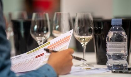 Vinhos brasileiros são premiados com ouro e prata em competição na França
