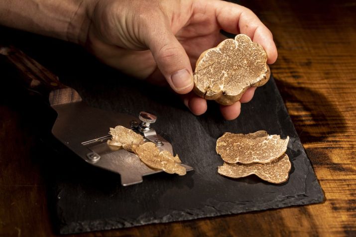 Festa dos Cogumelos / Marcelo Brum