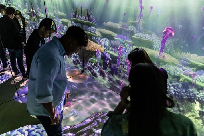 Projeções da exposição ajudam visitantes a entender relações entre humanos e as profundezas do mar / Renato Mangolin
