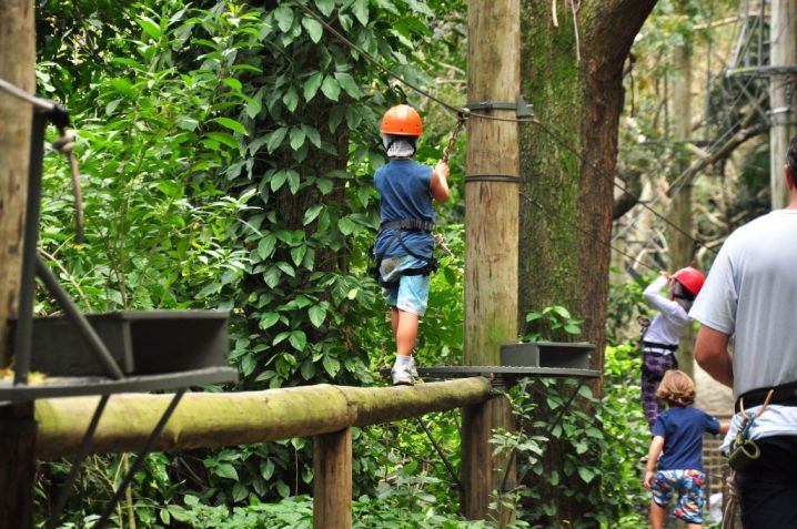 Parque da Catacumba fica no bairro da Lagoa e oferece diferentes atividades para crianças, como arvorismo, escalada e trilhas / RioTour