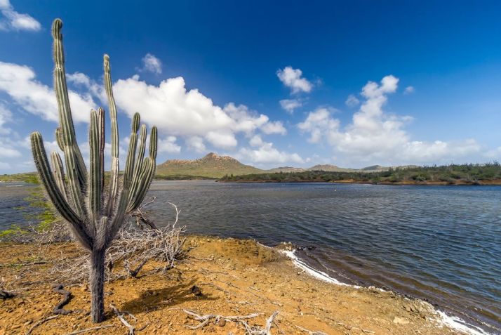 Washington Slagbaai National Park é uma reserva ecológica na parte noroeste de Bonaire / johnandersonphoto/iStockphoto/Getty Images