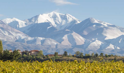 Vinícola da Argentina ganha prêmio de melhor do mundo; conheça todos os vencedores