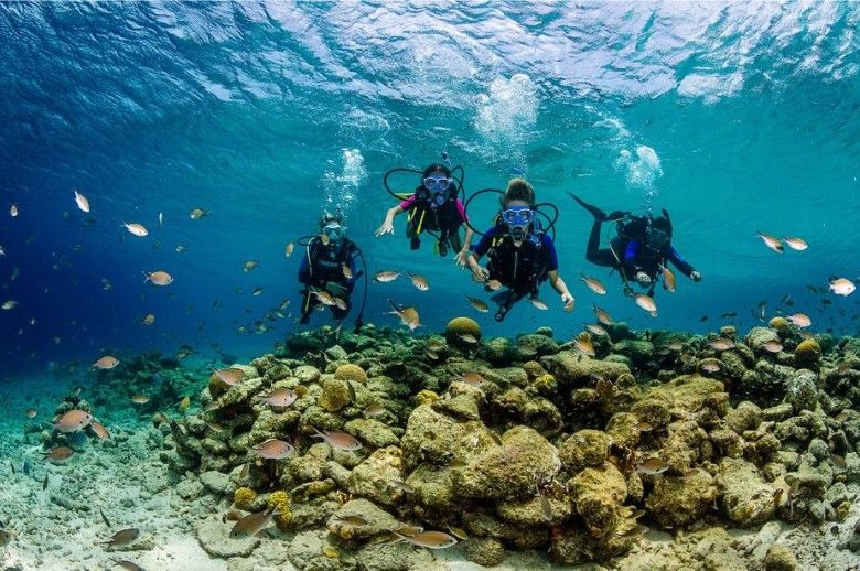 Bonaire é o paraíso do turismo de mergulho / Tourism Corporation Bonaire