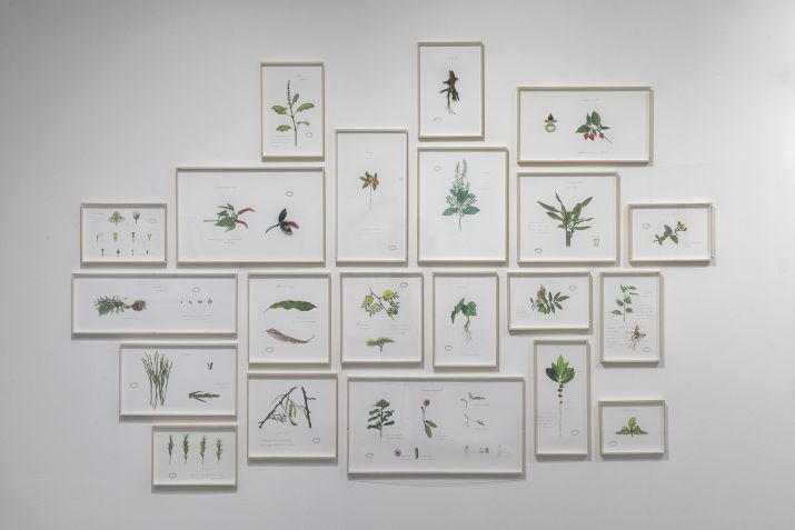 Walmor Corrêa tem retrospectiva no Instituto Tomie Ohtake até final de agosto / Divulgação