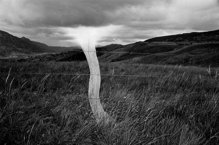 Pedro Motta, Treme Terra, 1998/2008 - Coleção MAM São Paulo / Pedro Motta