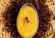 Cabrito, tucupi, formiga: movimento da literatura brasileira faz receitas populares virarem alta gastronomia