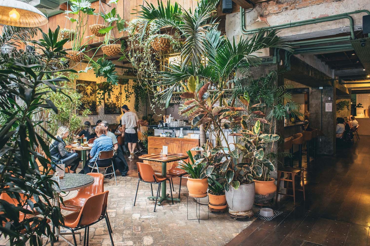 Ambiente do Botanikafé Jardins / Bruno Geraldi