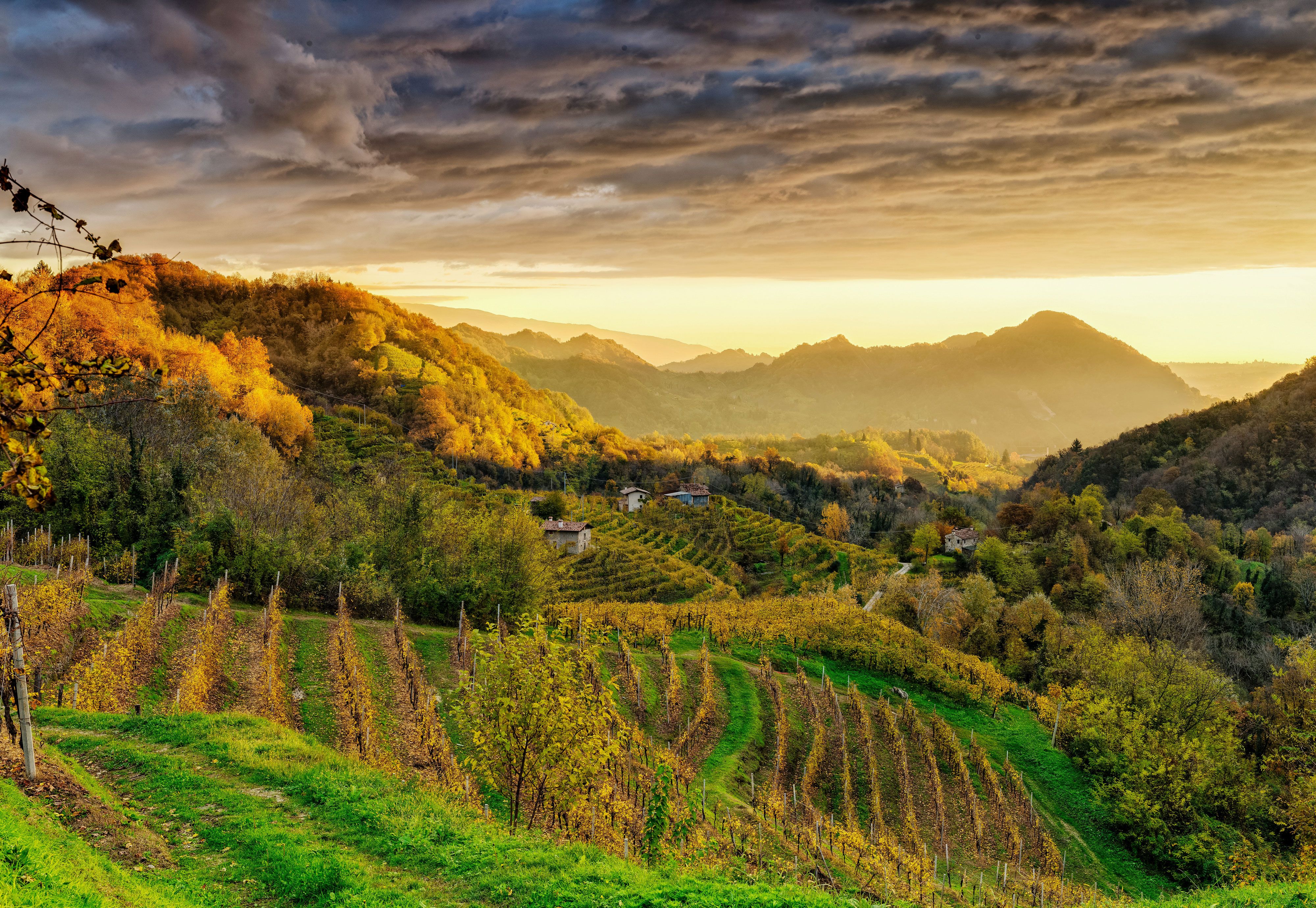 colinas prosecco itália