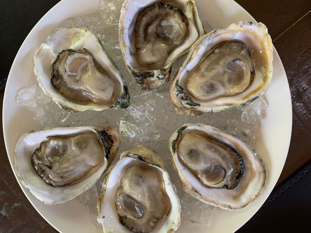 O frescor é um dos maiores atributos de qualidade da ostra / Saulo Tafarelo