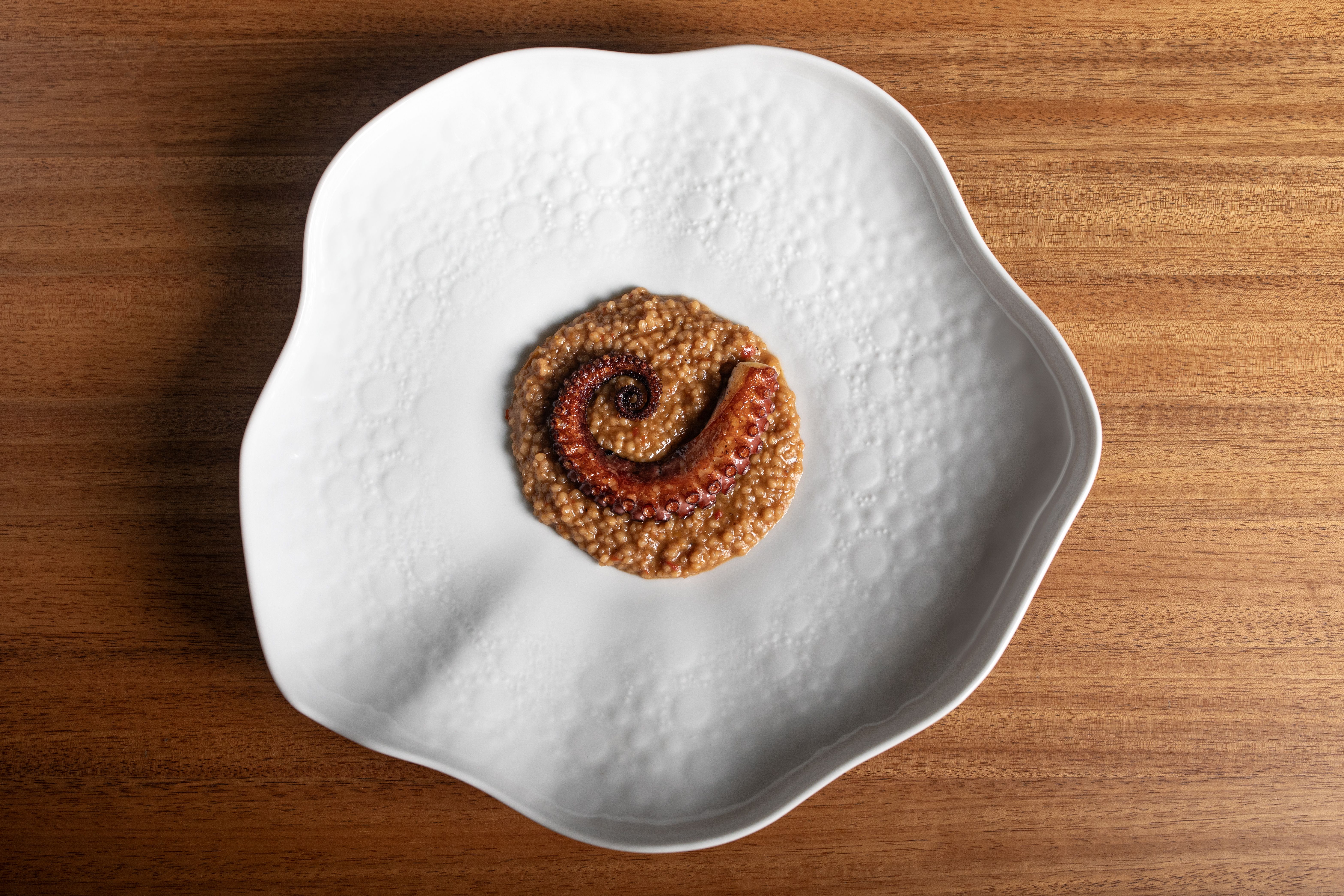 Polvo com mini arroz da temporada "Matas e Mares" do Restaurante Notiê / Tati Frison