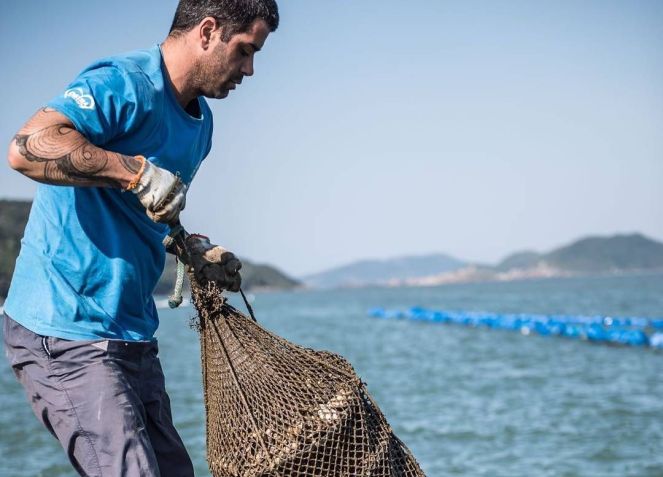 O maricultor Vinicius Ramos, dono da Paraíso das Ostras, fazenda marinha no extremo sul de Florianópolis / Reprodução Instagram/@paraiso.dasostras