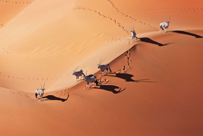 Parque Nacional Namib Naukluft, na Namíbia Ocidental / Martin Harvey/The Image Bank RF/Getty Images