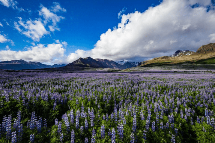 Europa: De longe o maior parque nacional da Europa, o Parque Nacional Vatnajökull da Islândia cobre 14.141 quilômetros quadrados da terra do gelo e fogo / Madalin Olariu/iStockphoto/Getty Images