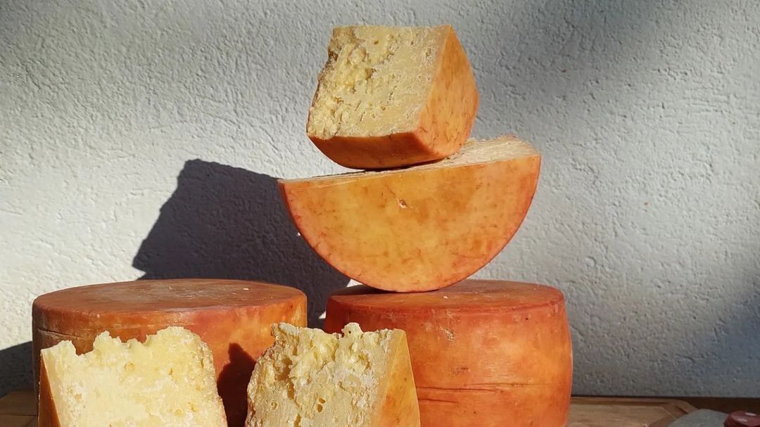 queijo-aparecido