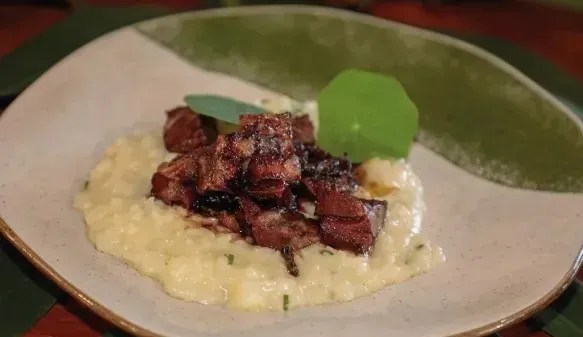 risoto de nirá