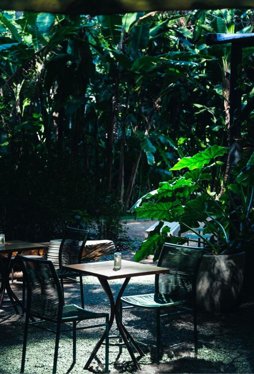 Na Vila Madalena: primeiro restaurante de São Paulo a ter área externa / Divulgação