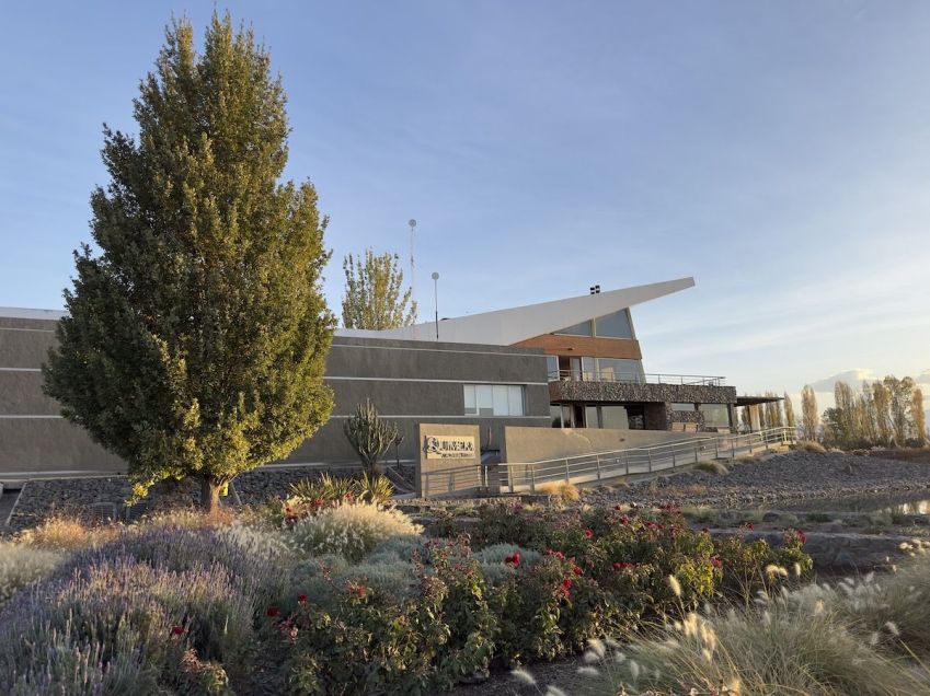 Bodega Achaval Ferrer / Tina Bini